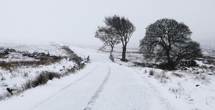 Snow warning issued for entire country as accumulations “expected in many areas”