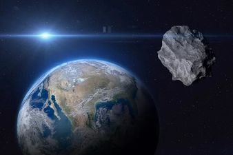 NASA confirms chance of newly-discovered asteroid hitting Earth