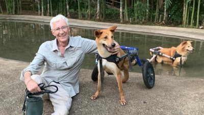 TV presenter and comedian Paul O’Grady dies aged 67