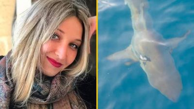 Terrifying moment snorkeller bitten by 220lb shark off Maldives coast