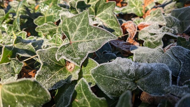 Met Éireann predicts cold snap