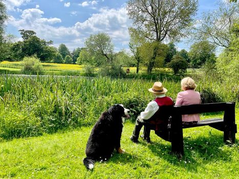 Bród higgins passes away, aged 11