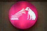 HMV to return to Ireland for the first time in seven years
