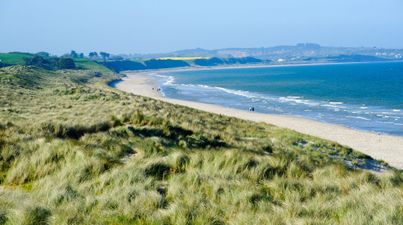 Study exploring whether Ireland’s first settlers came from Wales