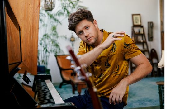 Niall Horan album review