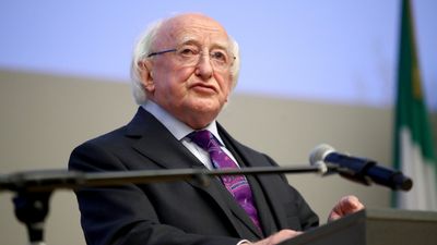 President Higgins apologises to professor for ‘throwaway remark’
