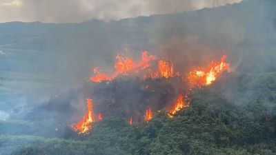 Mass evacuation on Canary Islands as extreme heatwave causes wildfires