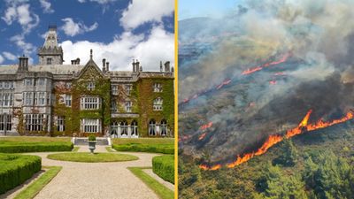 Irish hotels see spike in bookings and prices following Mediterranean wildfires
