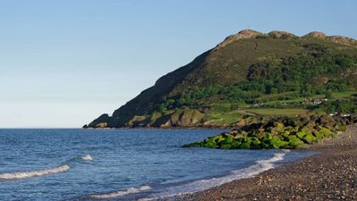 Beautiful tribute to Sinéad O’Connor unveiled on Bray Head