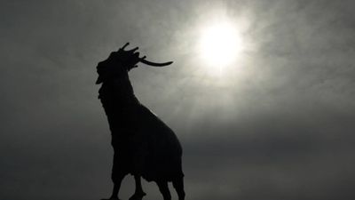 Activists call for this year’s Puck Fair to be the last of its kind