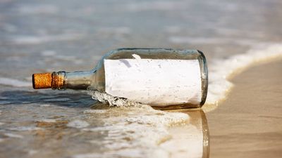 Message in a bottle from ‘Aoife’ from Ireland washes up on US beach