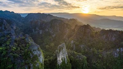 Huge ancient forest discovered 630 feet down sinkhole in China