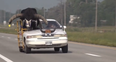 Man pulled over for riding with bull in modified passenger seat