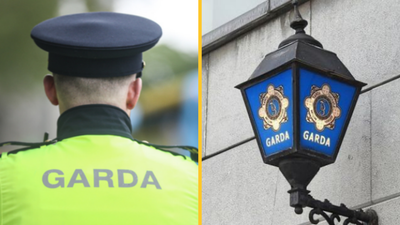 Male suffers ‘serious facial injuries’ in Dublin dog attack