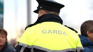Tasers to be issued to Public Order Unit in list of new support measures for Garda