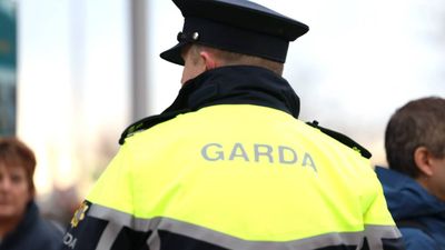 Tasers to be issued to Public Order Unit in list of new support measures for Garda