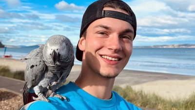 Man who recorded ‘final moments’ during shark attack ‘wanted to say goodbye’