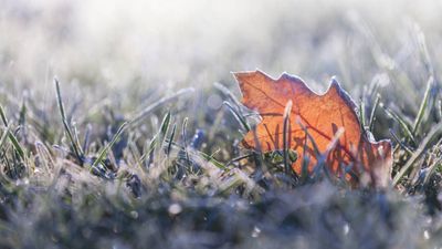 Met Éireann issue warning as temperatures set to plunge in cold snap