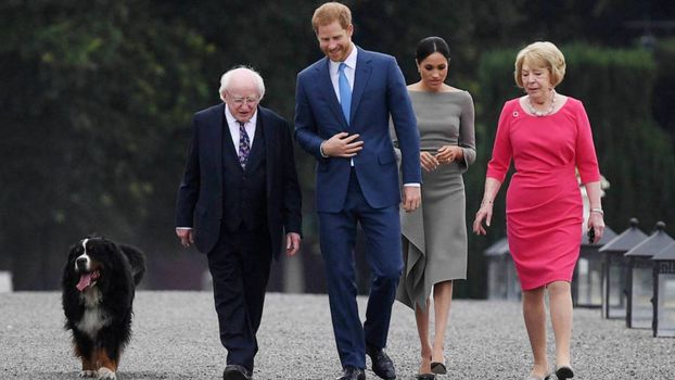 President Michael D Higgins dog