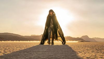 Dune: Part 2 is the perfect cinematic experience