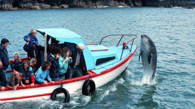 Pet psychic claims she can find Fungie the dolphin