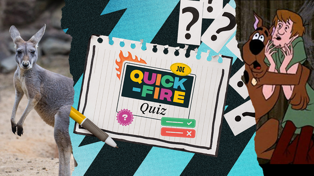 Quick-fire quiz: Day 207