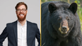 Viral ‘bear or man’ question leaves internet divided