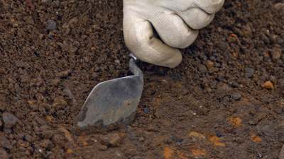 ‘I just can’t’ – Cllr reacts to ‘alleged interference with ancient human remains’ at Dublin excavation