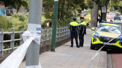 Men who died in tragic Grand Canal drowning named locally
