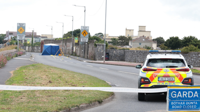 Man, 40s, killed following early morning hit and run in Dublin