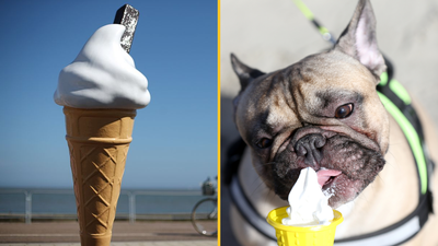 People are only just finding out why ice creams with flakes are called 99s