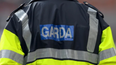 Bodies of two men discovered in Grand Canal in Dublin