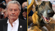 Family of late French actor refuse his final wish to have his dog euthanised