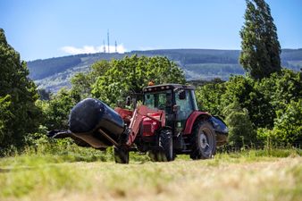 This farming festival at Airfield Estate could be Dublin’s answer to the Ploughing