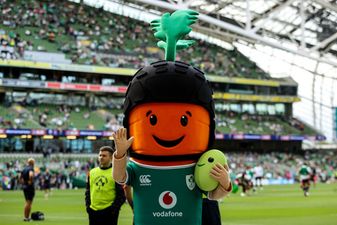 Kevin the Carrot is officially the new mascot for the Irish Rugby Football Union