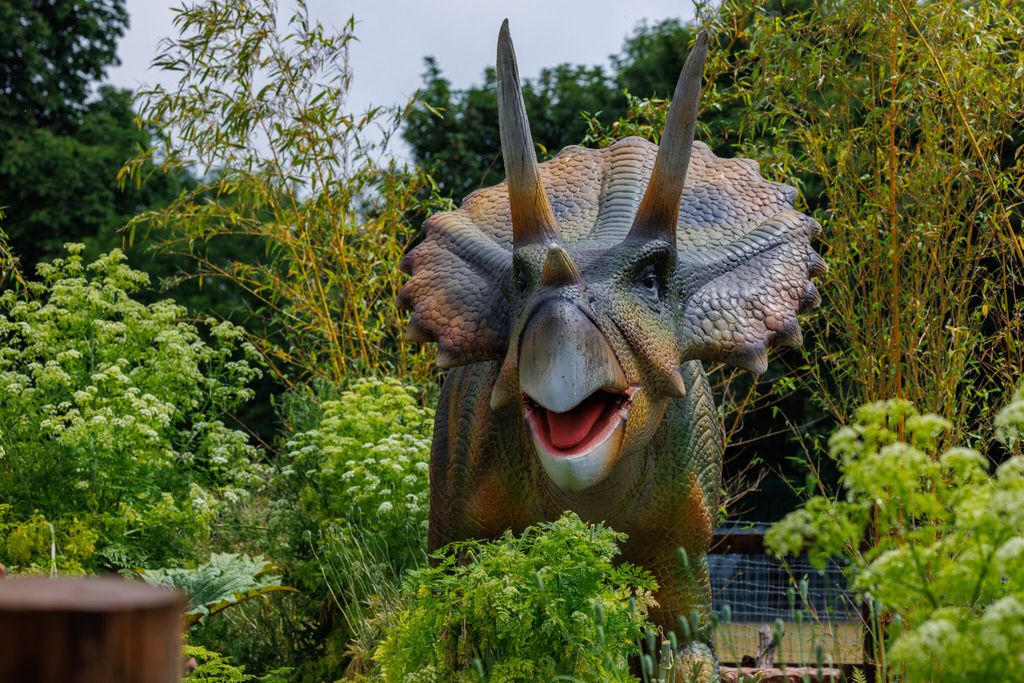 Jurassic-New-Park-22