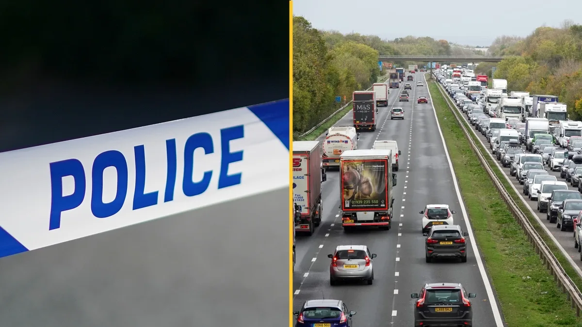 Girl, 17, dies after getting out of police vehicle on UK motorway