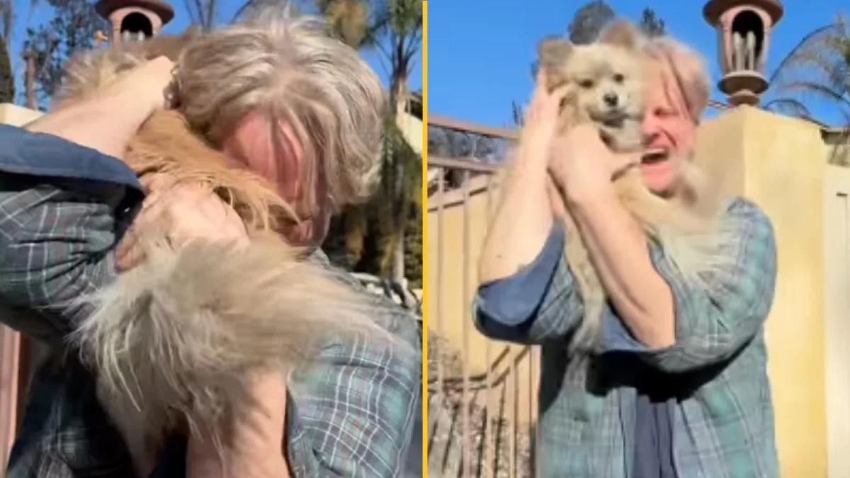 LA man reunites with lost dog after home was destroyed in wildfires