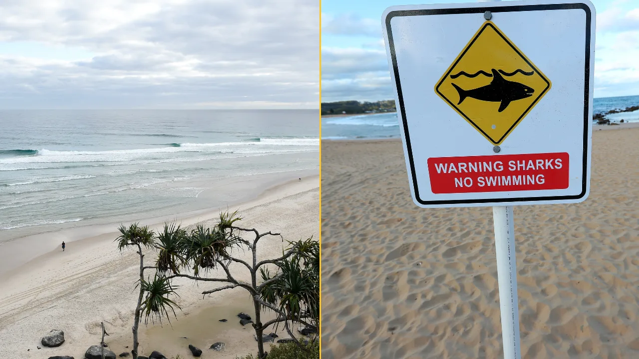 Teenager killed in shark attack while swimming off popular tourist beach